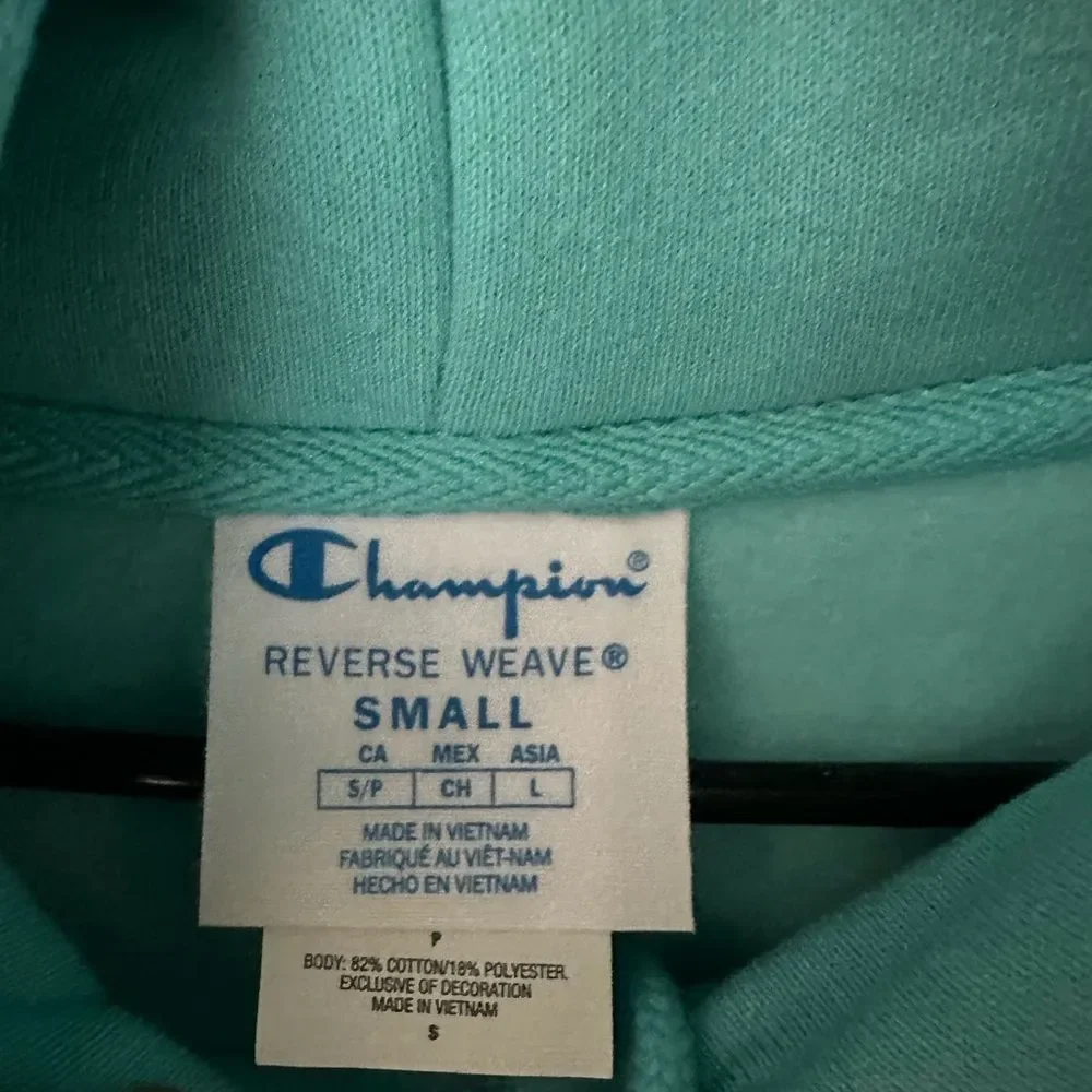 Champion heavyweight Hoodie Logo on front NWT - Picture 4 of 9
